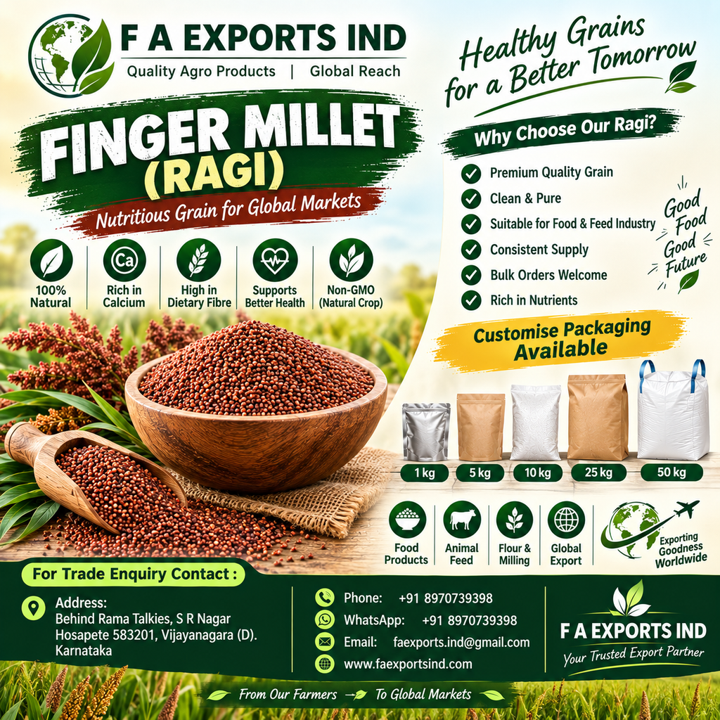 Finger Millet (Ragi)