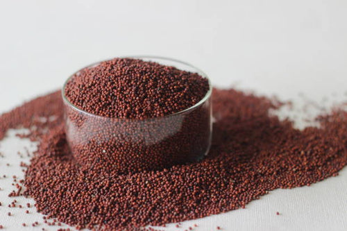 Finger Millet (Ragi)
