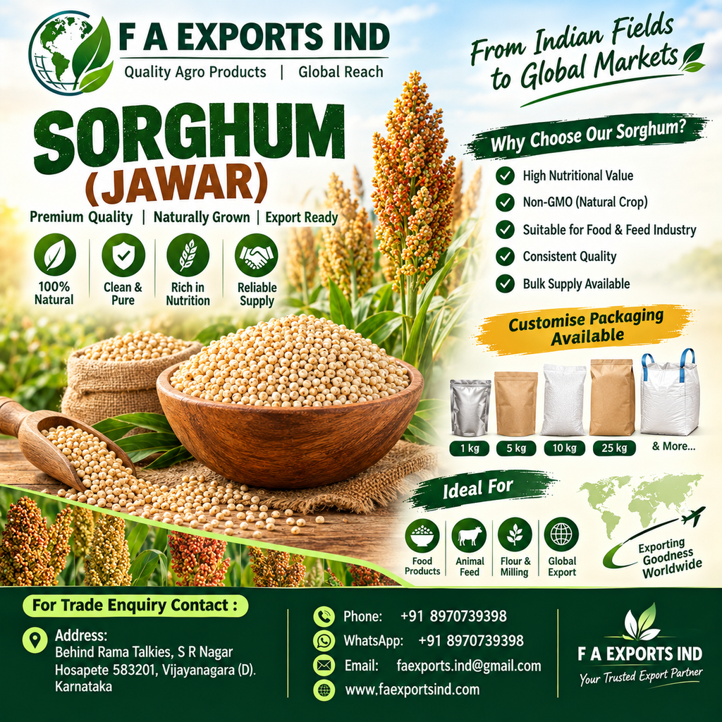 Sorghum (Jowar)