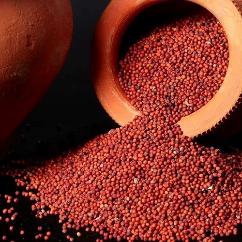 Finger Millet (Ragi)