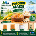 Popcorn Maize